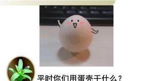 人美版三年级下册10.有趣的蛋壳造型课文内容ppt课件