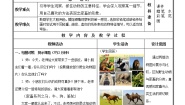 苏少版二年级下册4 动物朋友（一）教案及反思