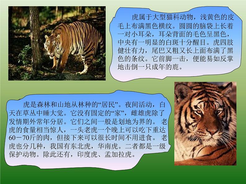 一年级下册美术课件-19.我们的动物乐园|岭南版第2页