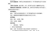 小学美术11 植物写生教案设计