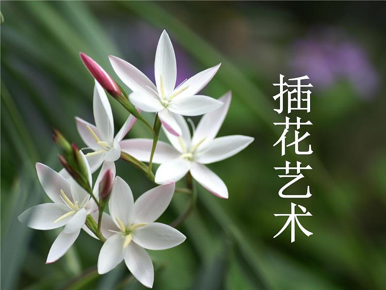 5探索者的故事 课件01