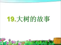 19大树的故事 课件