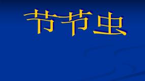 小学美术人美版二年级下册6.节节虫说课ppt课件