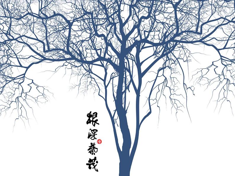 2画中的线条 课件第6页