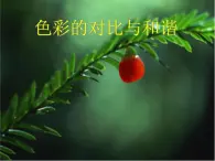 四年级下册美术课件－1《色彩的对比与和谐》 ｜苏少版