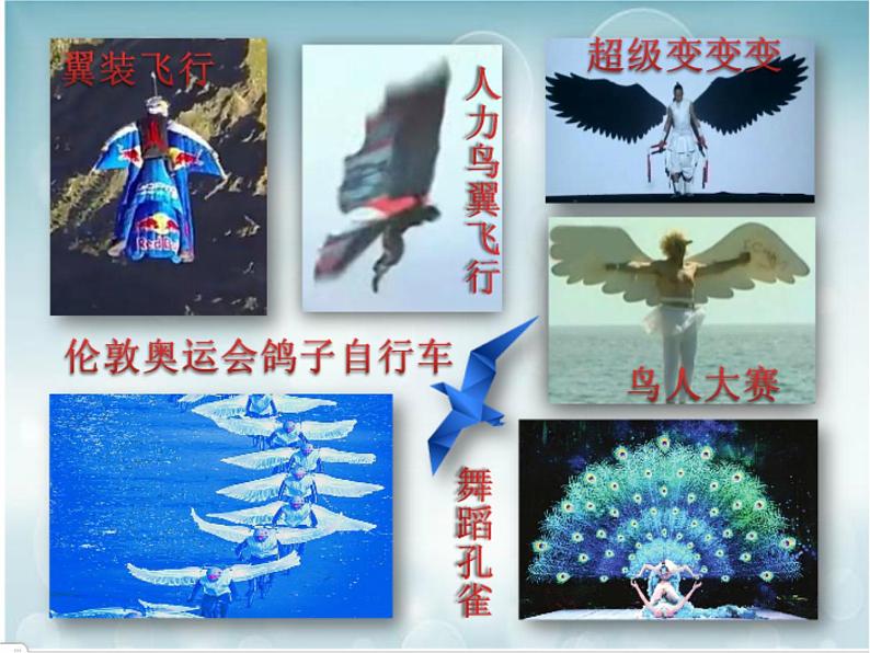 四年级下册美术课件-7我是一只小小鸟 |苏少版06