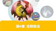 小学美术苏少版四年级下册6 鸟和家禽评课课件ppt
