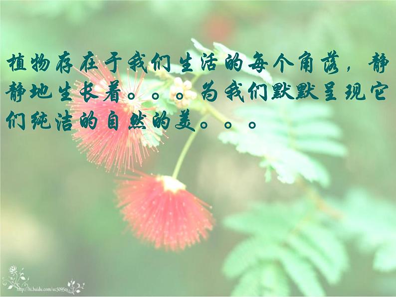 五年级下册美术课件-11植物写生 |浙美版(2014秋)第2页