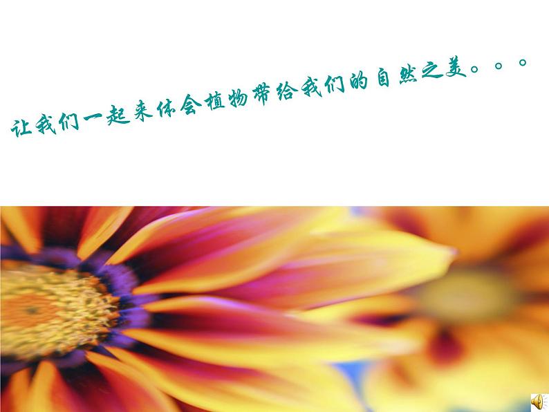 五年级下册美术课件-11植物写生 |浙美版(2014秋)第5页
