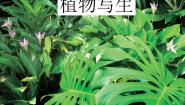 小学美术浙美版五年级下册11 植物写生评课课件ppt