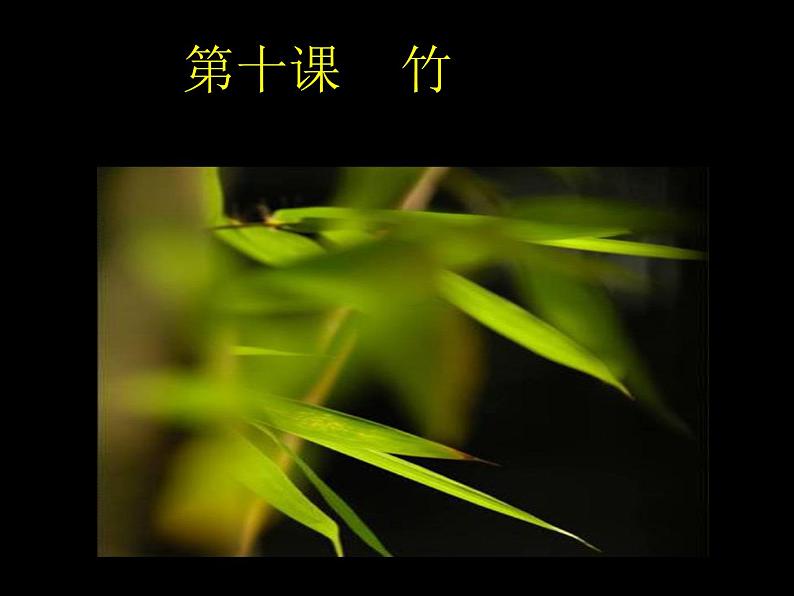 六年级下册美术课件-10竹 |浙美版(2014秋)02