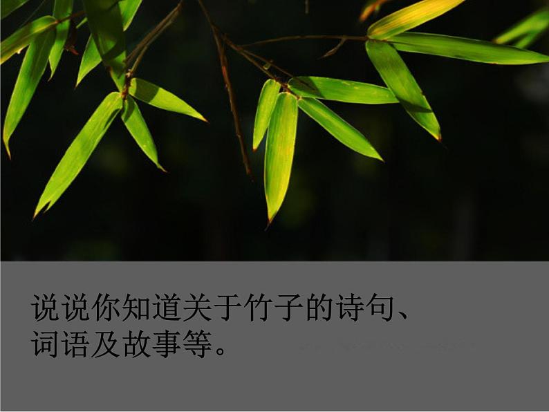 六年级下册美术课件-10竹 |浙美版(2014秋)03