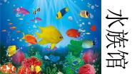 小学赣美版第7课 水族馆教案配套课件ppt