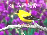 赣美版五下 14.鸟语花香 课件