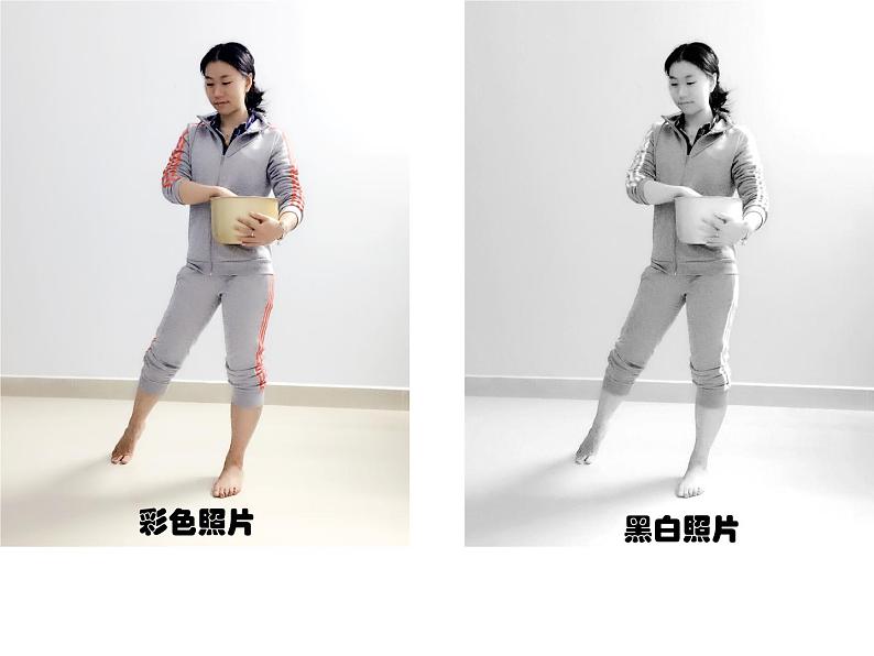 四年级下册美术课件-9.变照片为黑白的画 |岭南版第2页