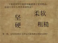 五年级下册美术课件－8.不同物象的表面特征 ｜岭南版