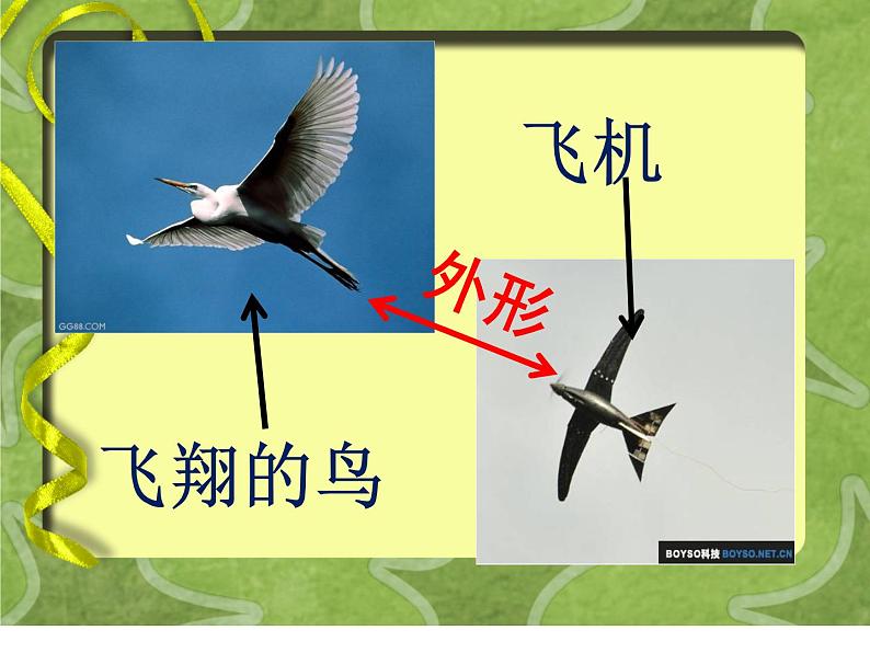 六年级下册美术课件-6.向动物朋友学习|苏少版第3页
