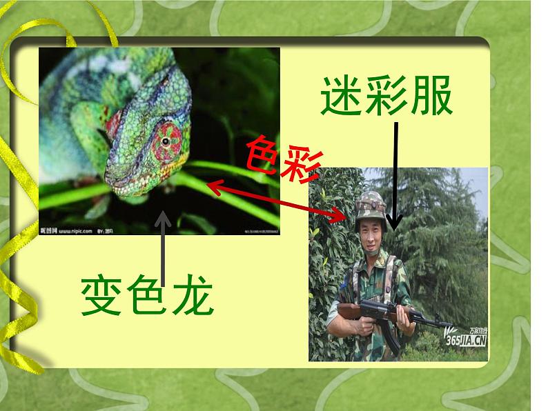六年级下册美术课件-6.向动物朋友学习|苏少版第4页