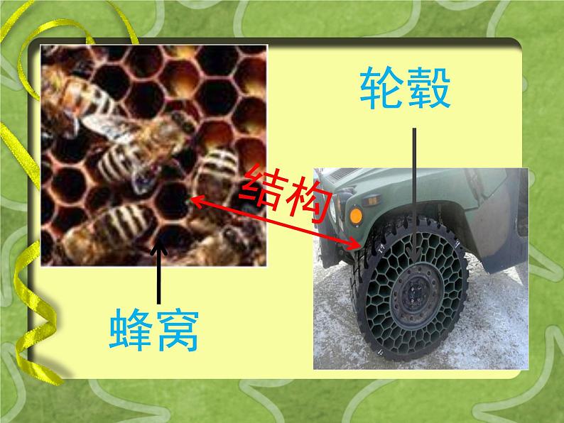 六年级下册美术课件-6.向动物朋友学习|苏少版第5页