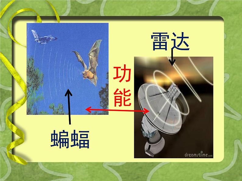 六年级下册美术课件-6.向动物朋友学习|苏少版第6页
