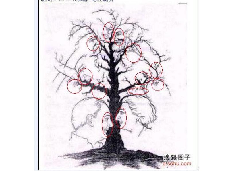 五年级下册美术课件-15.手绘线条的图像表现|赣美版02