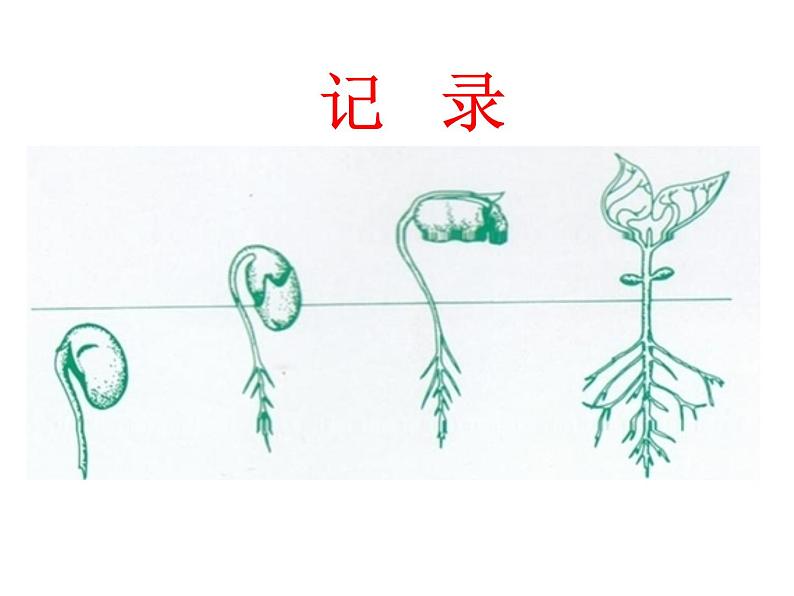 五年级下册美术课件-15.手绘线条的图像表现|赣美版06
