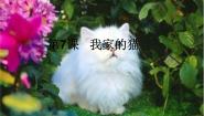 美术辽海版第7课 我家的猫课堂教学课件ppt