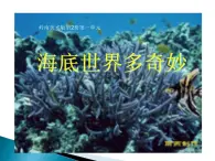 一年级下册美术课件－2.海底世界多奇妙｜岭南版