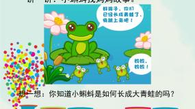 美术岭南版第二单元 点线色，你我他8. 小动物和妈妈教学ppt课件