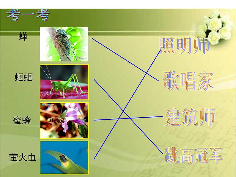 二年级下册美术课件-14.虫虫虫(一)|苏少版第5页