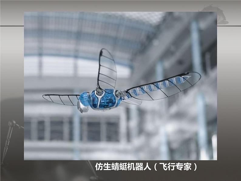 六年级下册美术课件-6.向动物朋友学习|苏少版第1页