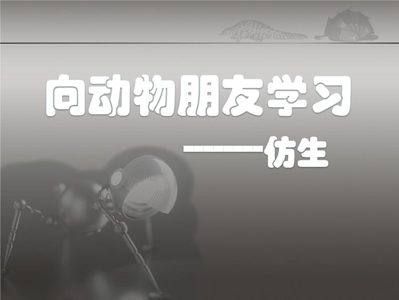 六年级下册美术课件-6.向动物朋友学习|苏少版第2页