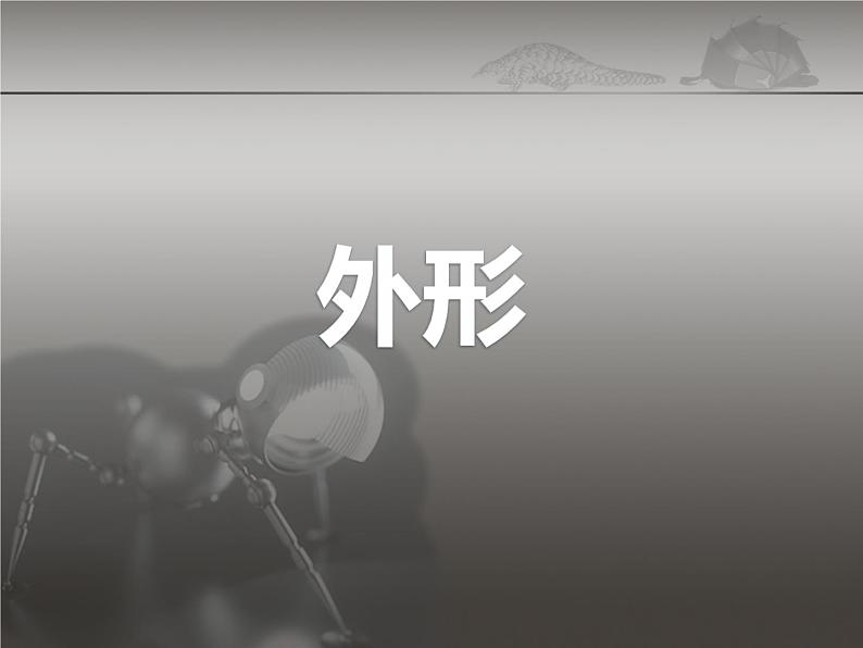 六年级下册美术课件-6.向动物朋友学习|苏少版第6页