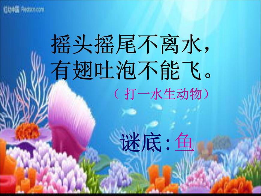 湘美版小學(xué)美術(shù)一下 14.剪對(duì)稱魚(yú)形 課件第2頁(yè)