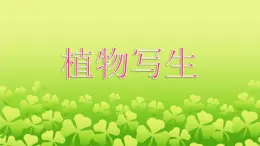 五年级下册美术课件－11植物写生  ｜浙美版