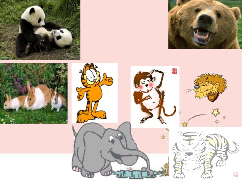 《保护珍稀野生动物》课件104