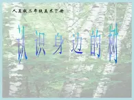 2021-2022学年人美版美术二年级下册第3课《认识身边的树》（课件）