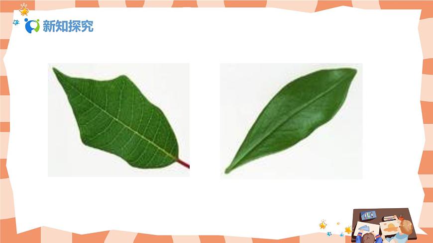 人美版美術(shù)一年級上冊1.《讓大家認(rèn)識我》課件第5頁