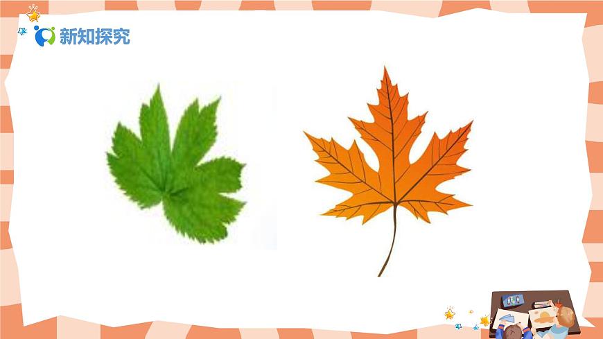 人美版美術(shù)一年級上冊1.《讓大家認(rèn)識我》課件第6頁