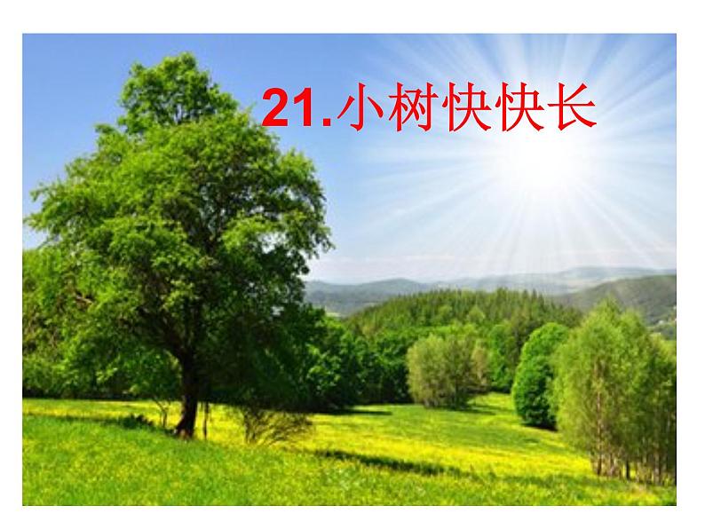 湘美版小学美术一下 21.小树快快长 课件第3页