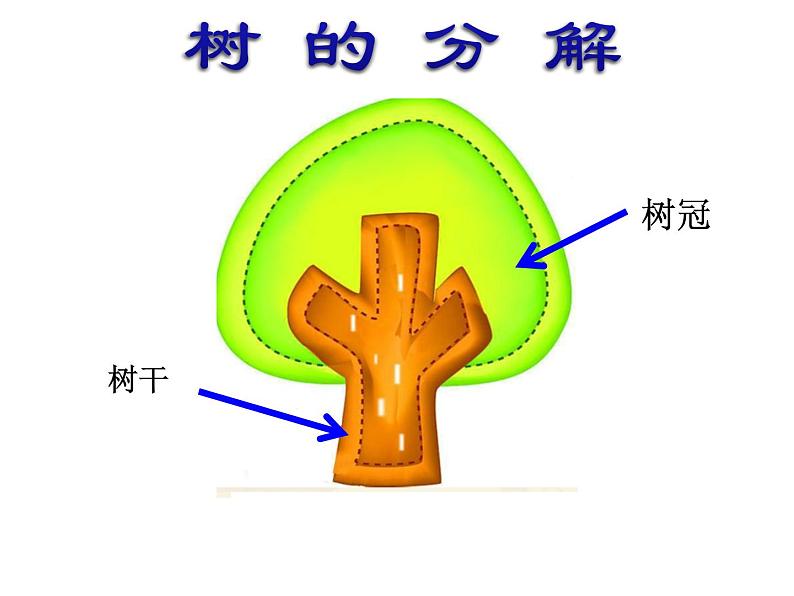 湘美版小学美术一下 21.小树快快长 课件第4页