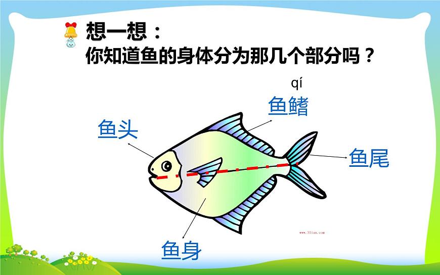 14. 剪對(duì)稱魚形課件PPT第3頁(yè)