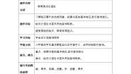 岭南版三年级下册15. 秋天的落叶教学设计