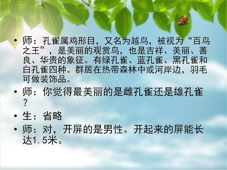 赣美版一下4.美丽的孔雀 课件第6页