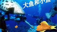 小学美术岭南版一年级下册7. 大鱼和小鱼课文配套ppt课件
