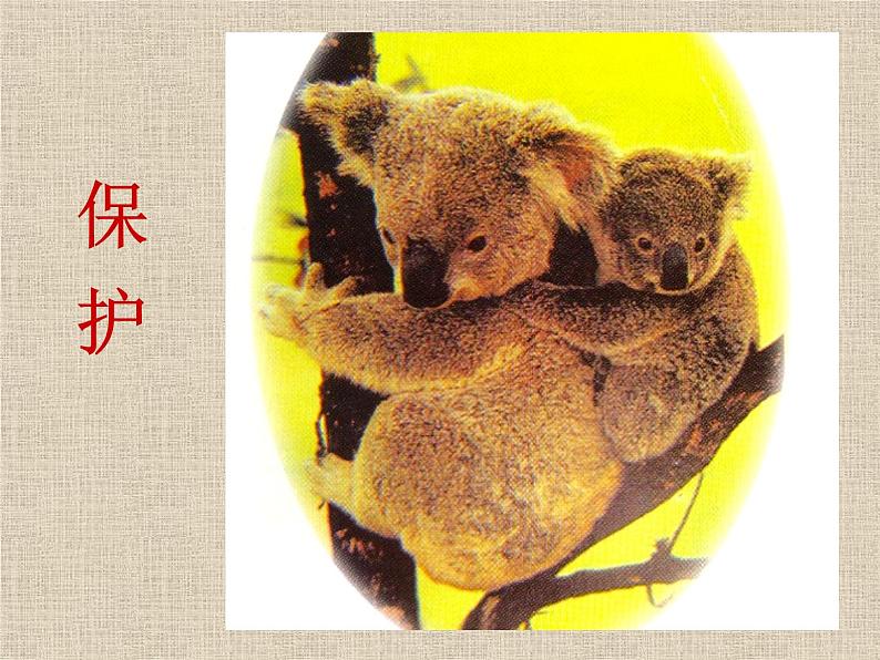 一年级下册美术课件-8.小动物和妈妈|岭南版第6页