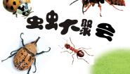 四年级下册17 虫虫大聚会教学演示课件ppt