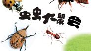 浙美版四年级下册17 虫虫大聚会背景图ppt课件