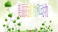 2021学年第20课 美丽的植物和动物教课ppt课件