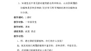 美术一年级上册第20课 美丽的植物和动物教学设计